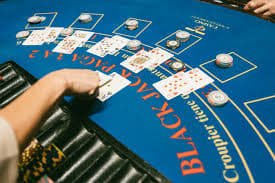 Studio live-dealer Asia Gaming di platform login cendanabet
